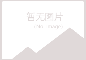 白城夏岚金属有限公司